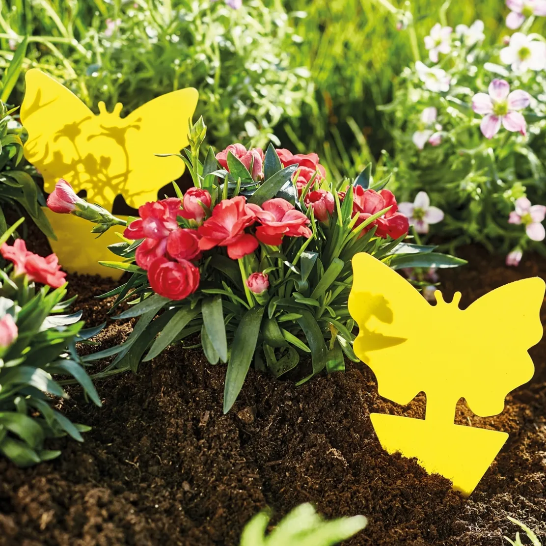 24 attrapes moucherons et insectes