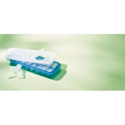 2 bacs à glaçons avec couvercles