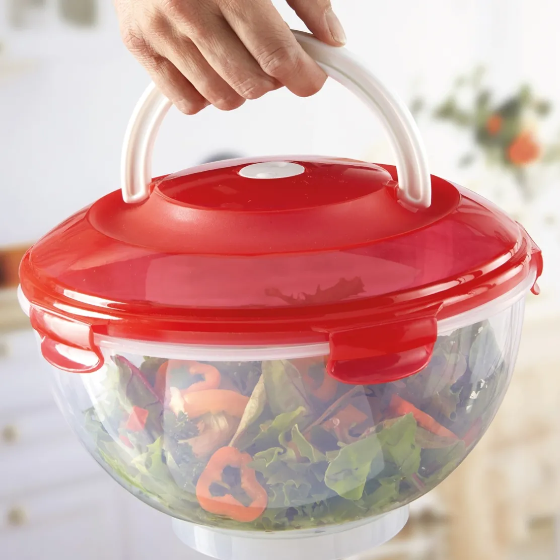 5 boîtes saladier couleur