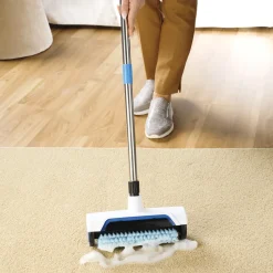 Balai brosse nettoie tapis