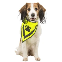 Bandana sécurité pour chien taille S/M