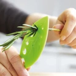 Boîte conservation fines herbes