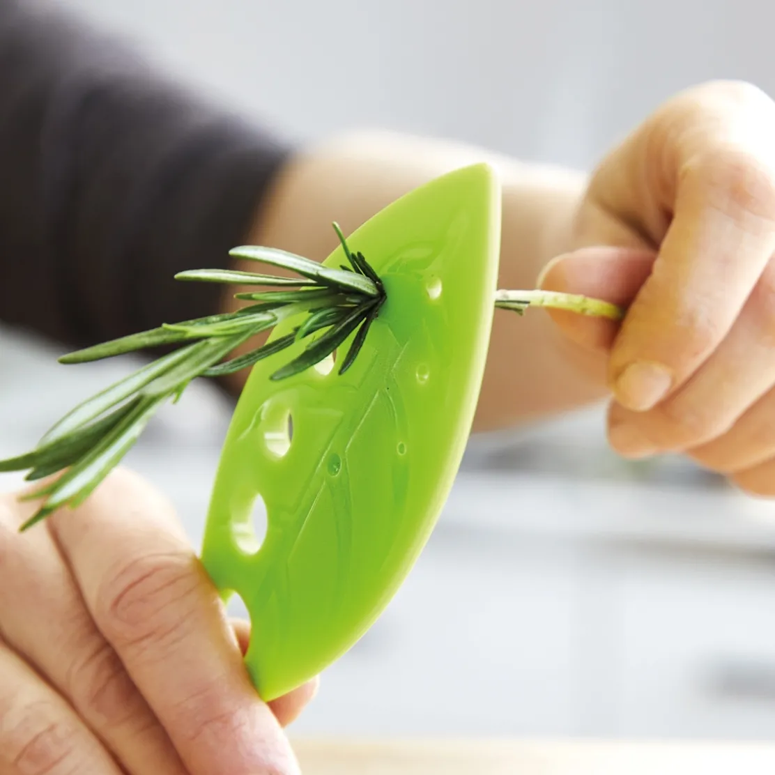Boîte conservation fines herbes