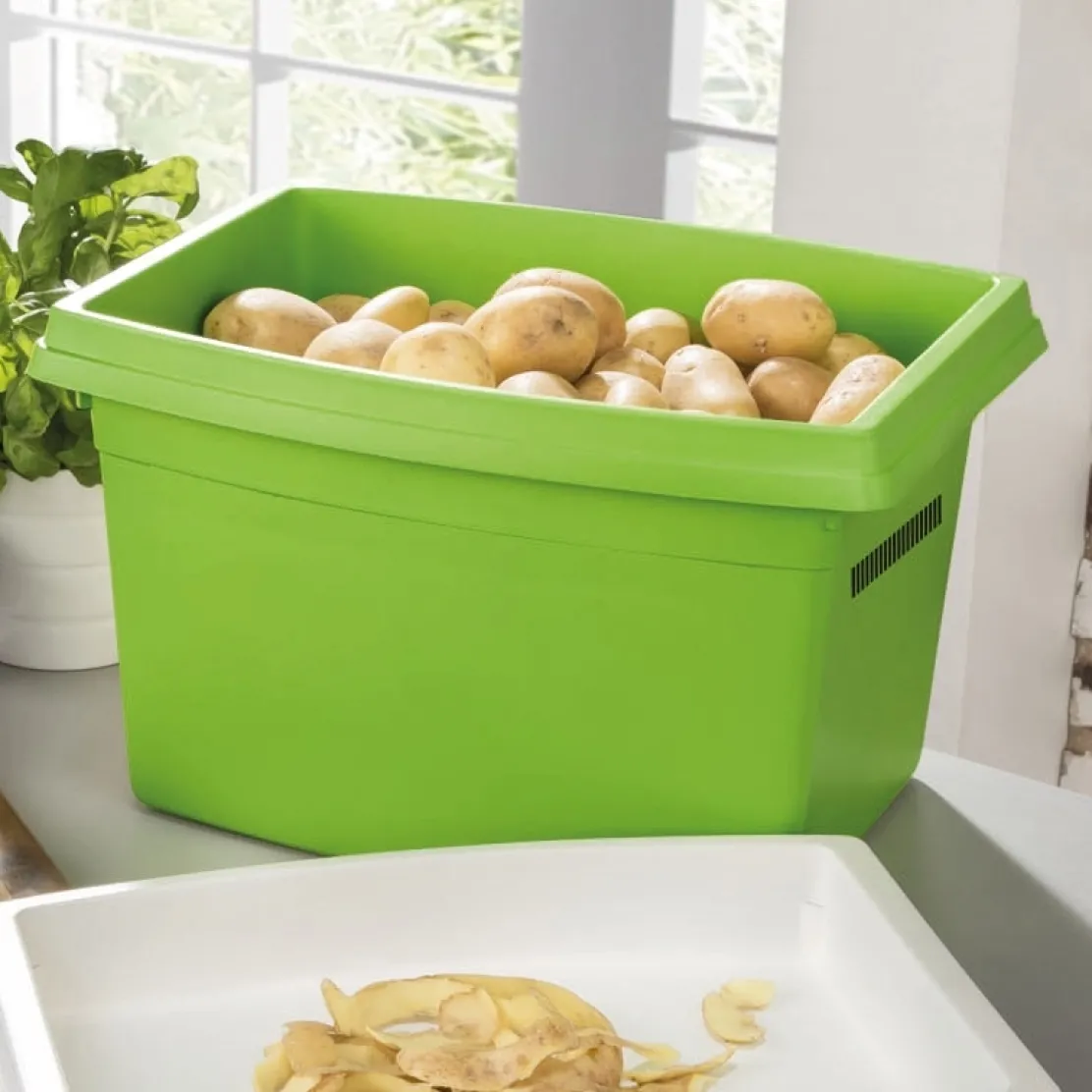 Boîte de conservation pommes de terre