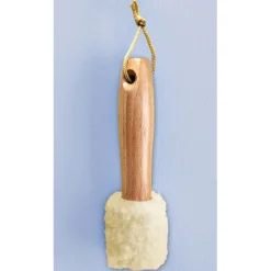 Brosse prises électriques