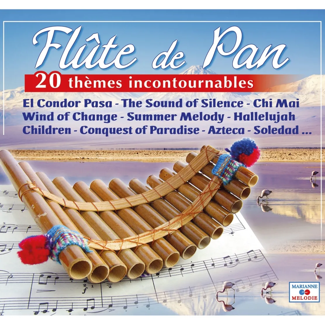 Cd flute de pan 20 themes incontournable