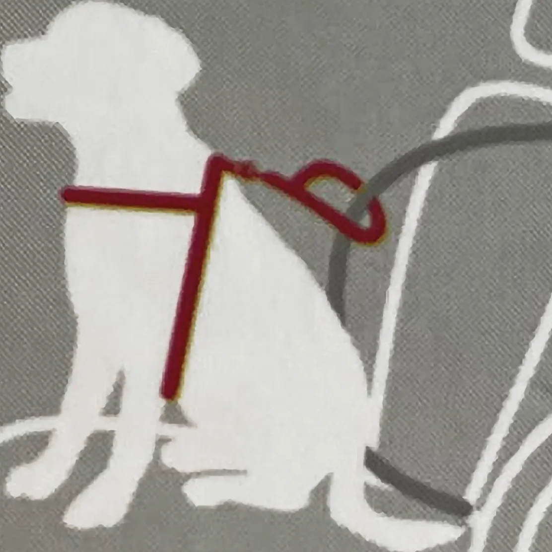 Ceinture de sécurité universelle pour chien
