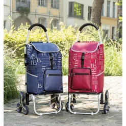 Chariot de courses bordeaux