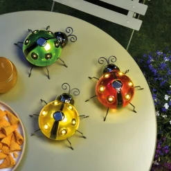 Coccinelle décorative : divers coloris