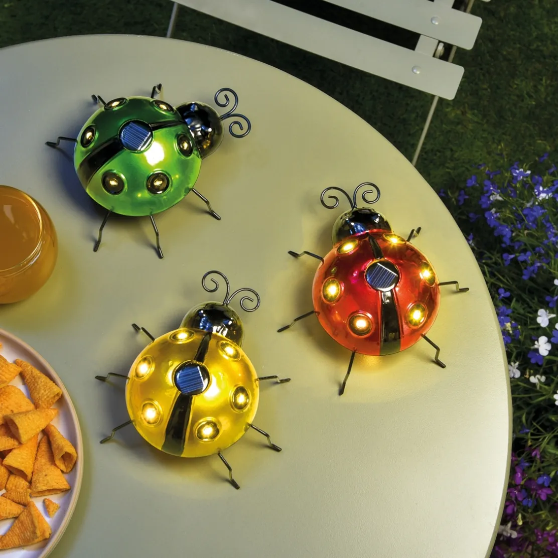 Coccinelle décorative : divers coloris