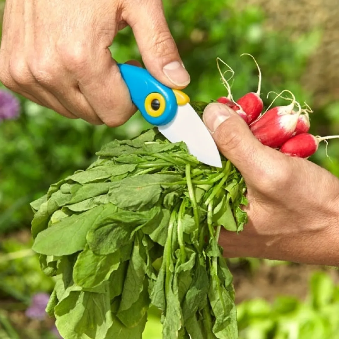 Couteau céramique bleu