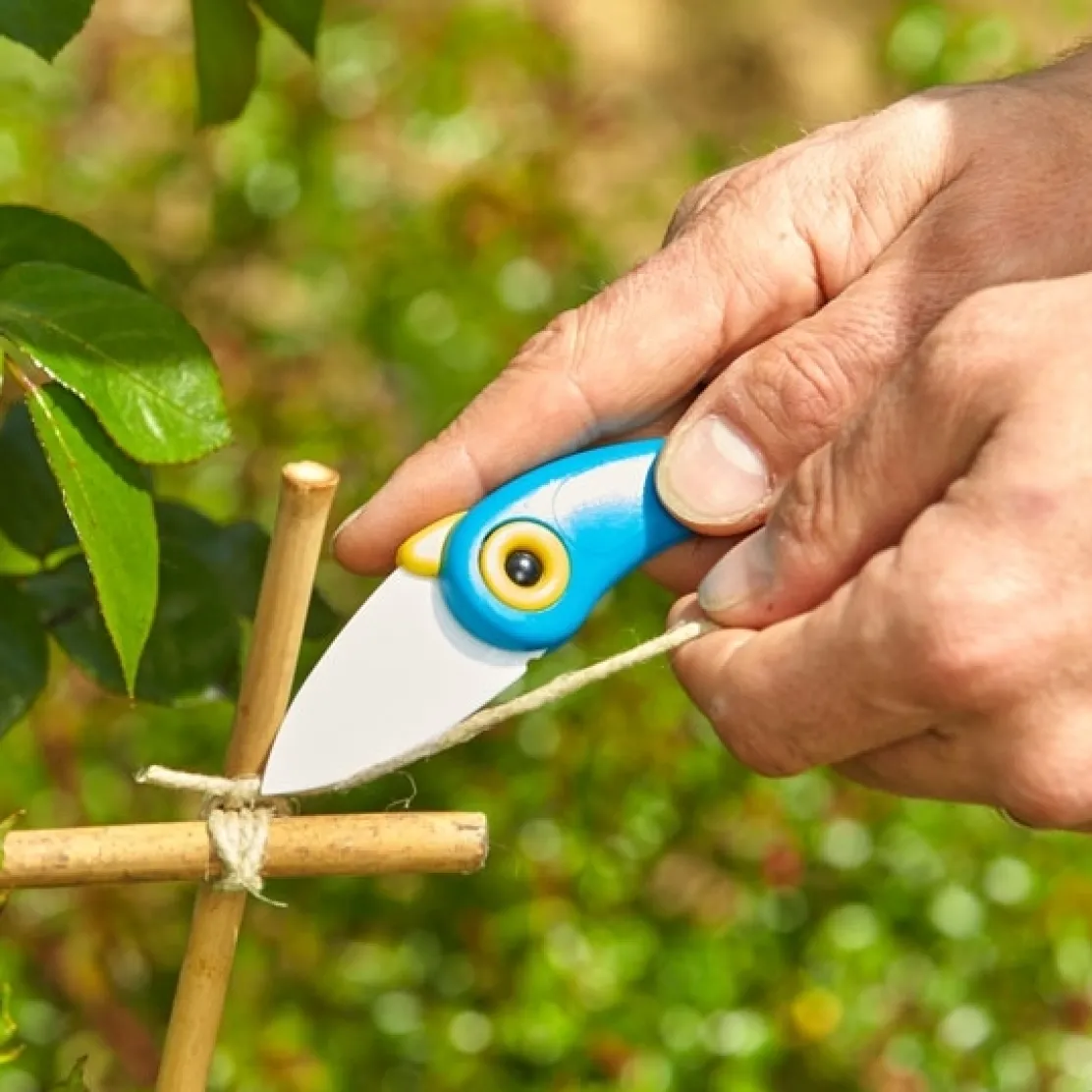 Couteau céramique bleu