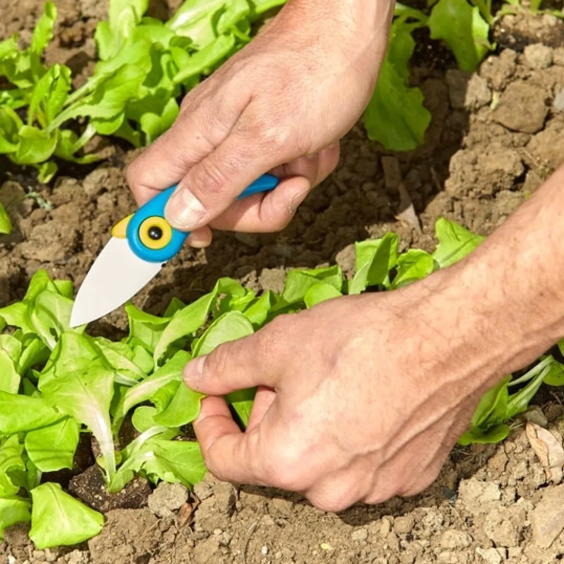 Couteau céramique bleu