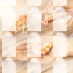 Couteau décortiqueur de crevettes