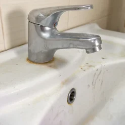 Crème récurrente terra récur