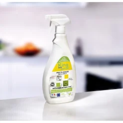 Désinfectant King Germ