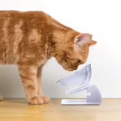 Duo de gamelles surélevées forme chat