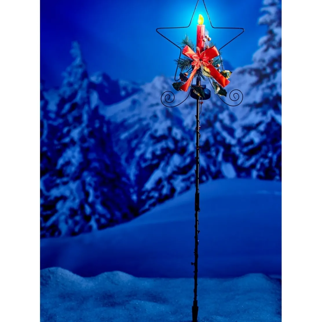 Etoile poinsettia solaire