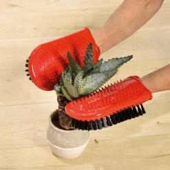 Gant pour cactus