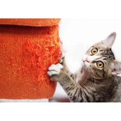 Griffoir perfect griffes