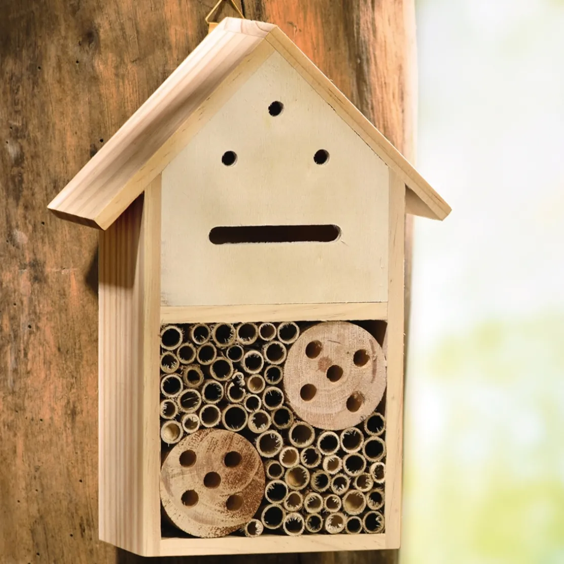 Hôtel à insectes