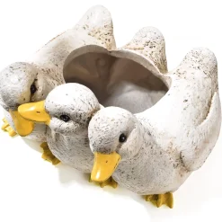 Jardinière canetons