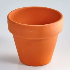 Kit trèfles à 4 feuilles