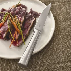 Lot de 6 couteaux à steak inox PRADEL FRANCE®