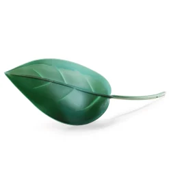 Lot de 2 feuilles arroses plantes