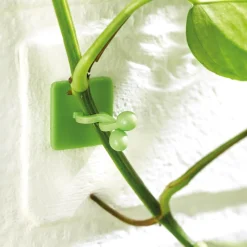 Lot de 50 guides de croissance