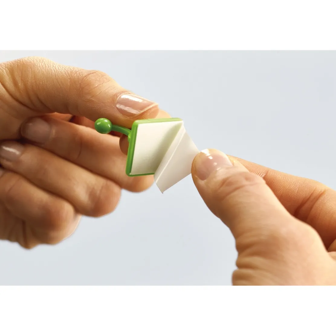 Lot de 50 guides de croissance