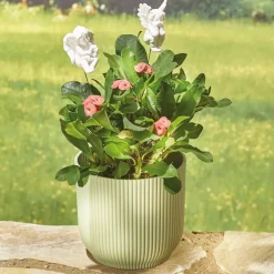 Lot de 2 piques anges