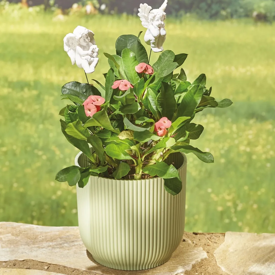 Lot de 2 piques anges