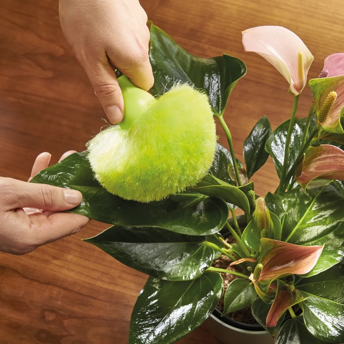 Lot de 2 pompons anti-poussière