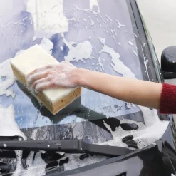 Lot de 2 éponges enlève moustiques