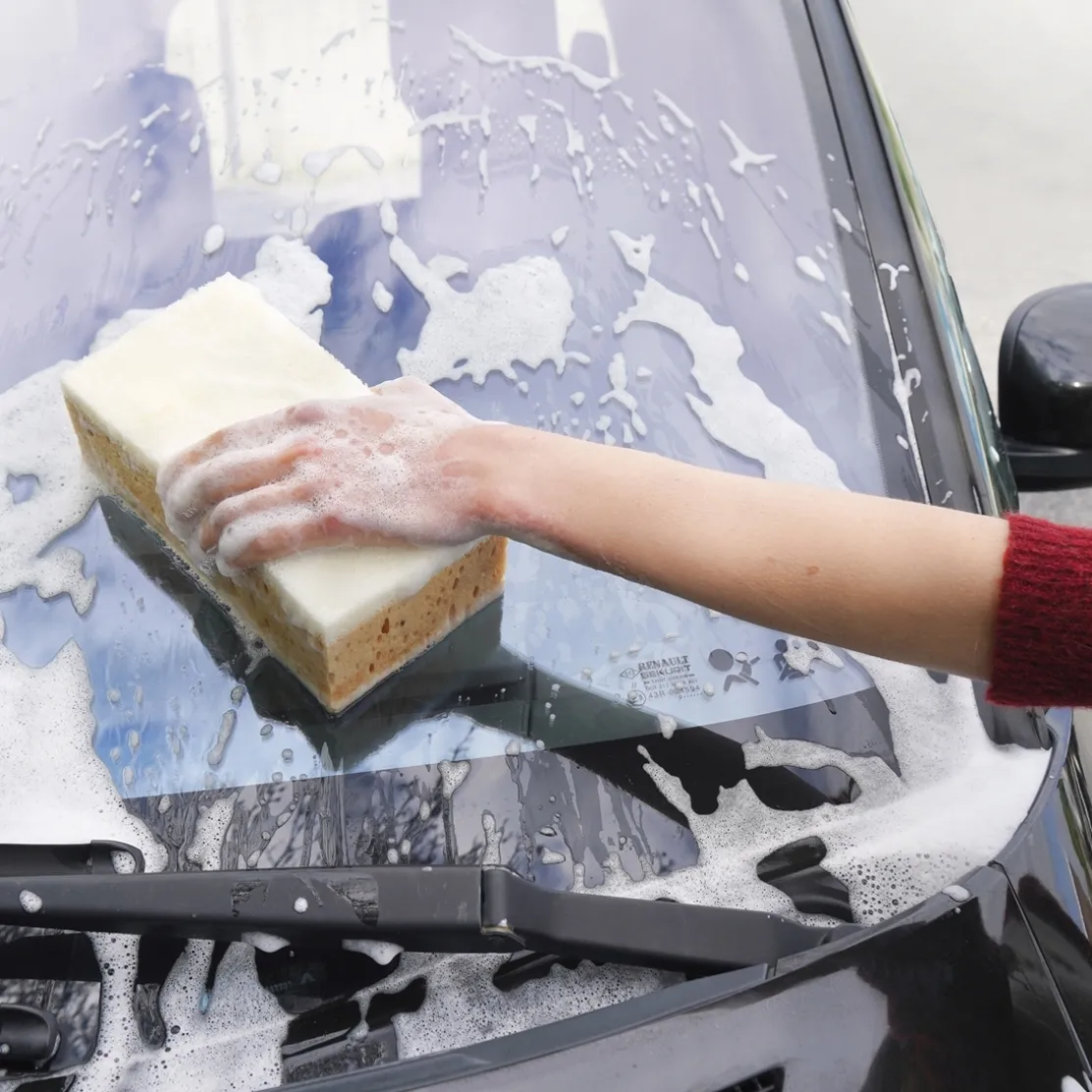 Lot de 2 éponges enlève moustiques