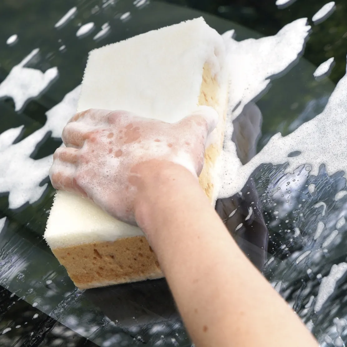 Lot de 2 éponges enlève moustiques