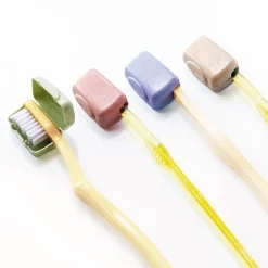 Lot de 4 protège brosses à dents