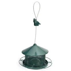 Mangeoire oiseaux