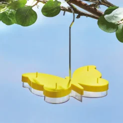 Mangeoire pour papillons