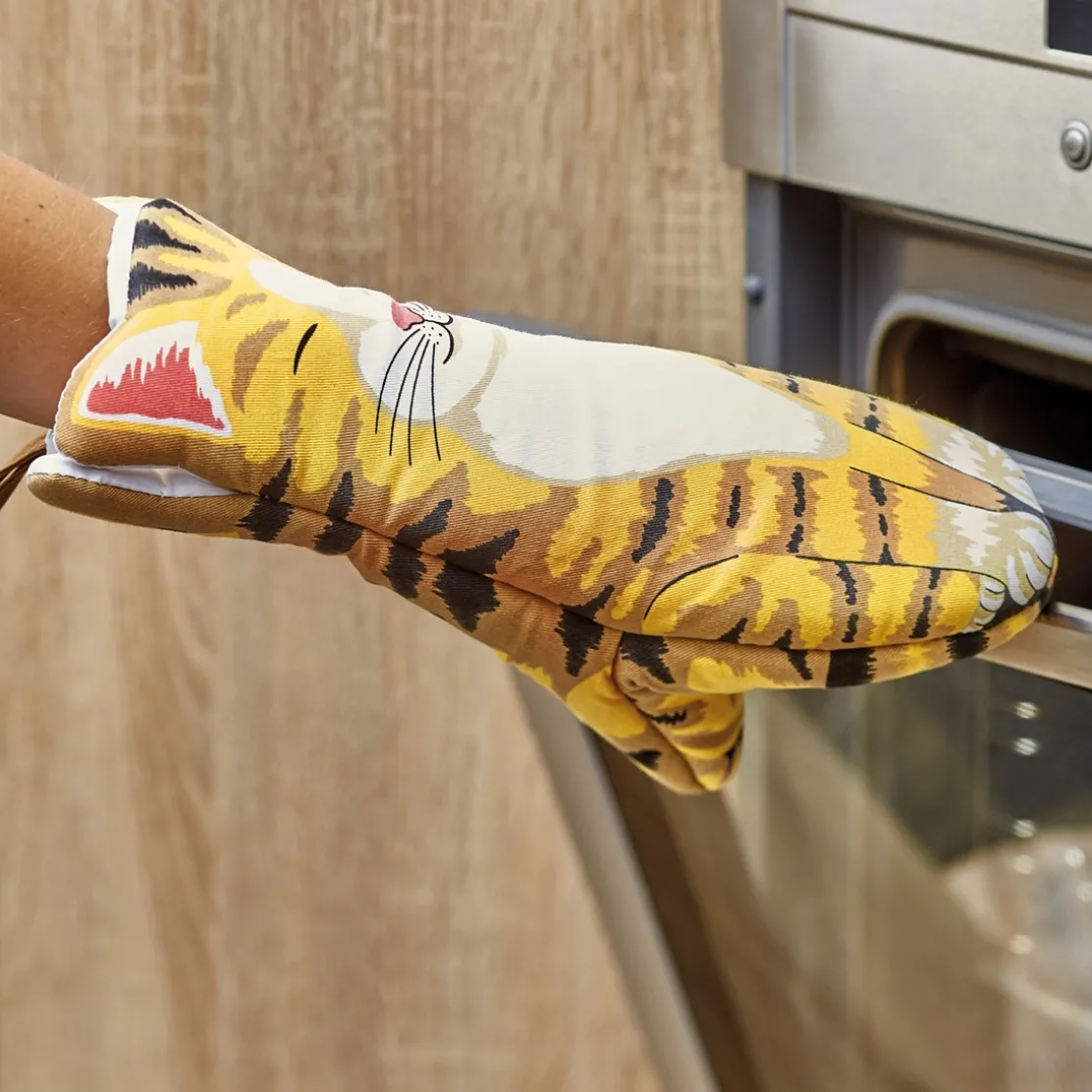 Manique chat roux tigré