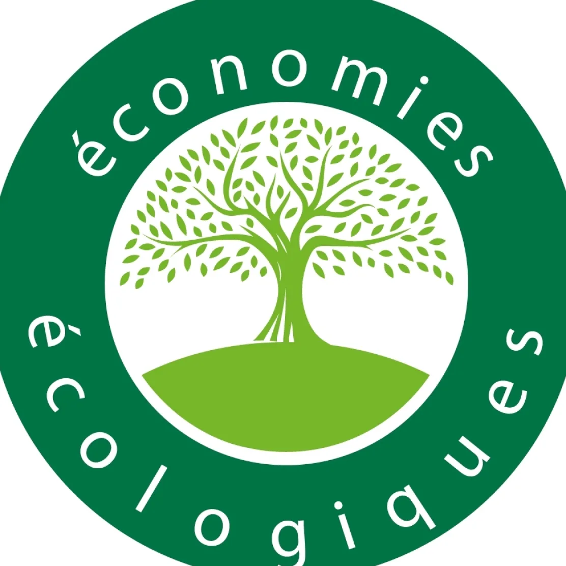 Maxi rouleau attrape-mouches