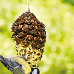 Nourriture oiseaux pomme de pin géante