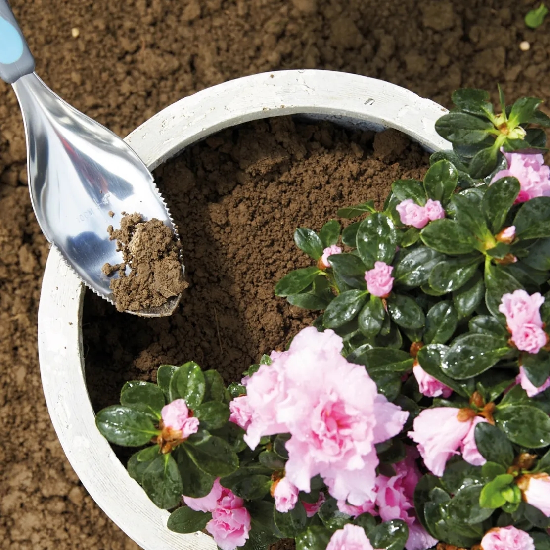 Outil de jardinage multifonctions