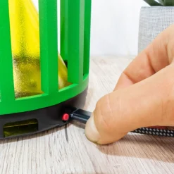 Piège à insectes Fly cactus