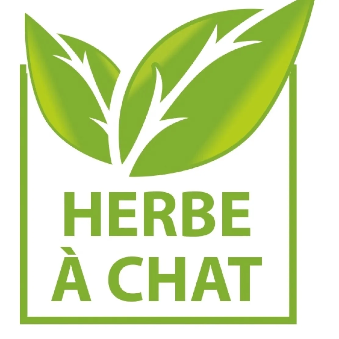 Poisson clown gigotant pour chat