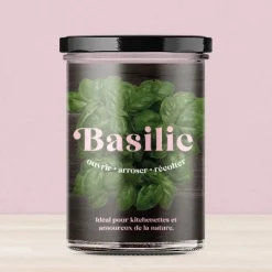 Potager : diverses variétés