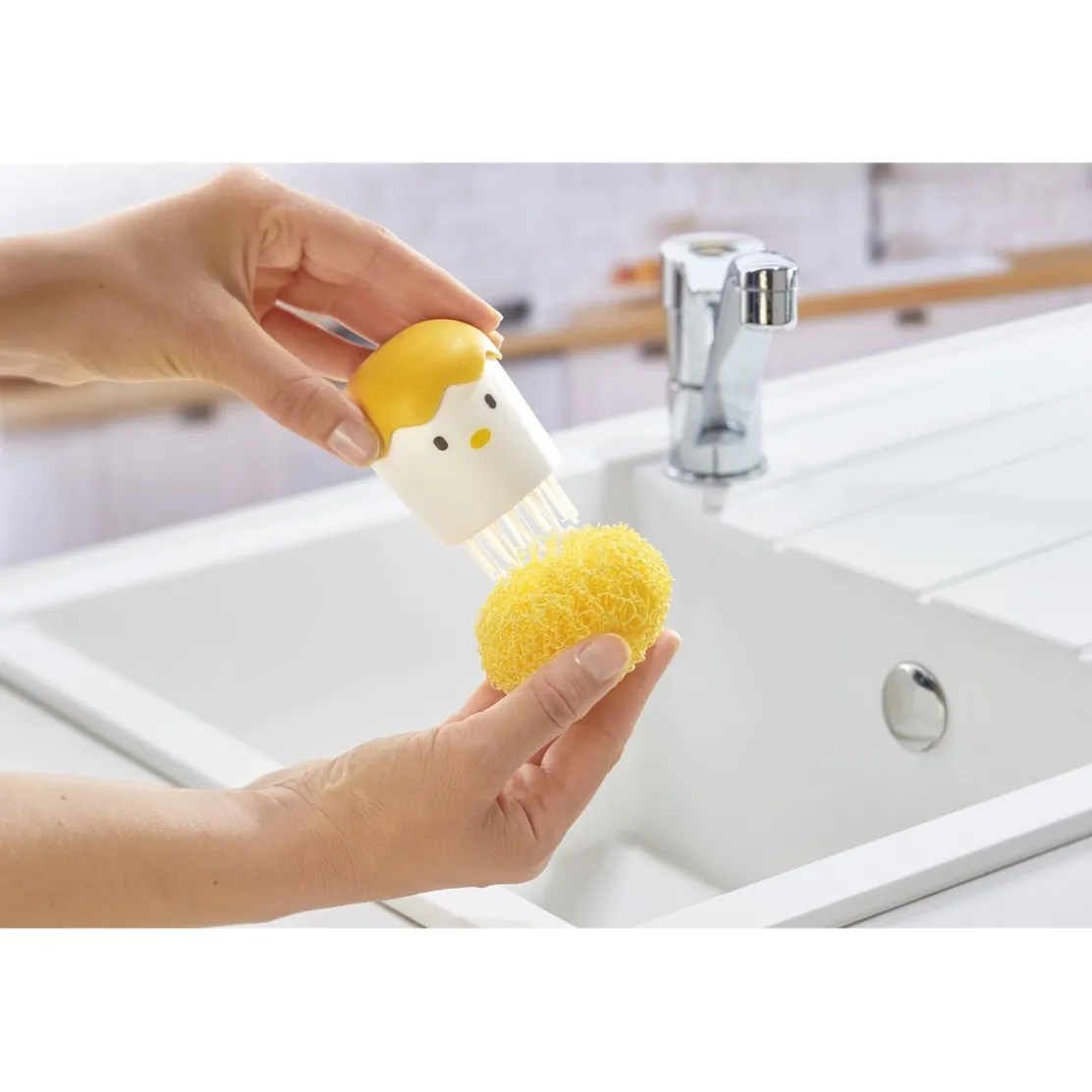 Poussin pique éponges