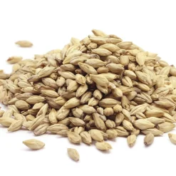 Pâte orale Vermi'délice chat/chien