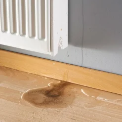 Purgeur de Radiateur